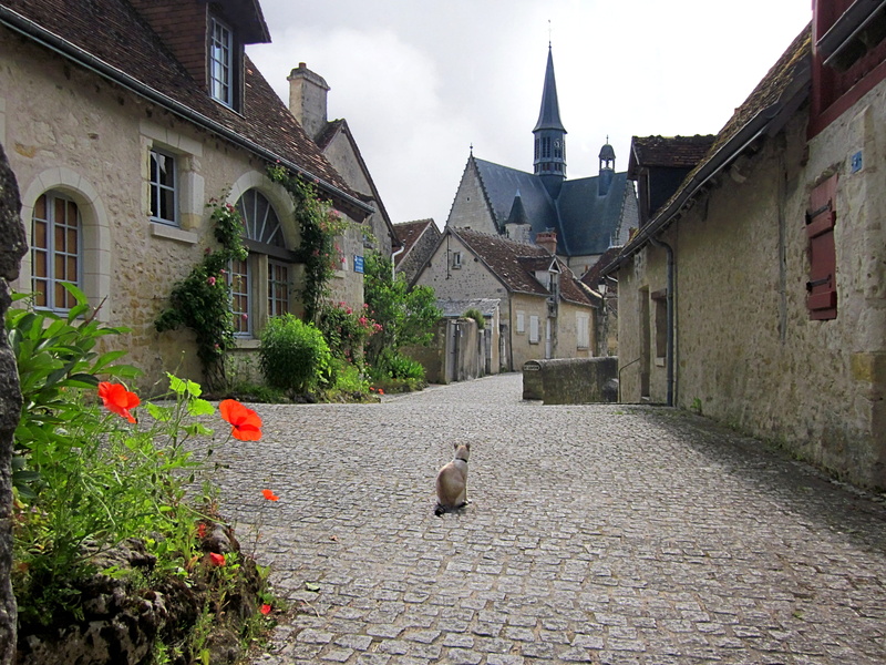 animal, nature, no people, domestic, Old, Village, building exterior, architecture, pets, one animal, street, day, France, outdoors, french, built structure