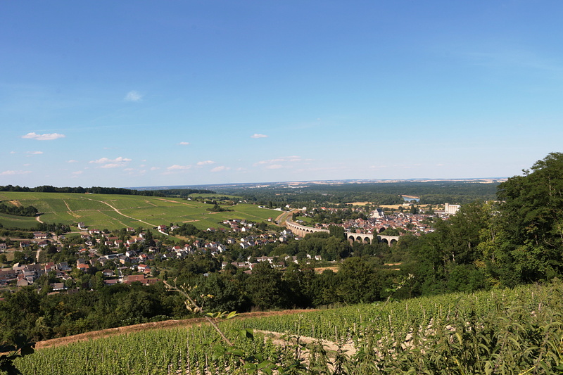 burgundy, blue, loire valley, building, 5K, residential district, wine, landscape, plant, land, tree, photography, day, built structure, drink, scenics - nature