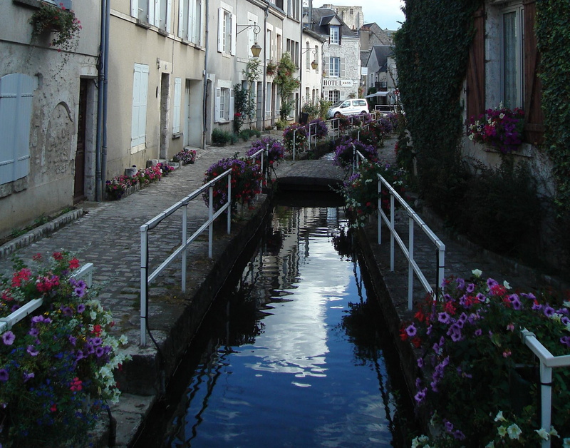 france, europe, 1080P, beauty, loire valley, flowers, beaugency, thing, nature and landscapes