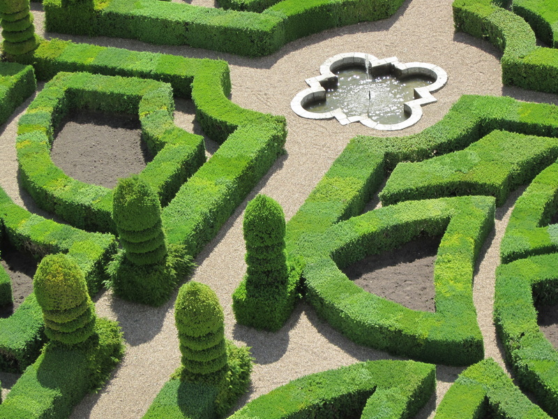 photography, 2K, garden, château de villandry, environmental conservation, france, nature, topiary, architecture, hedge, creativity, ornamental garden