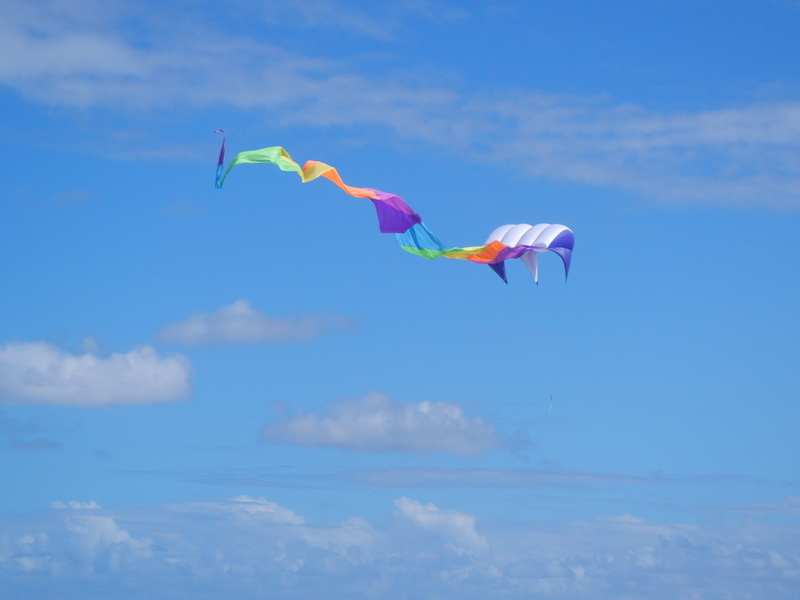 gliding, water, multi Colored, 2K, freedom, low angle view, multicolored, hobbies, flying, nature, action, recreational Pursuit, mid-Air, sport, fun, cloud - Sky