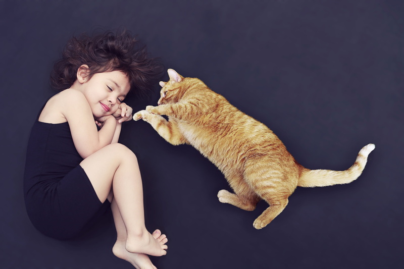 sleep, animal, trust, soft, fur, lazing around, pets, roll, cute, 4K, dream, love, one person, domestic cat, mammal, pet, friendship, break, time out