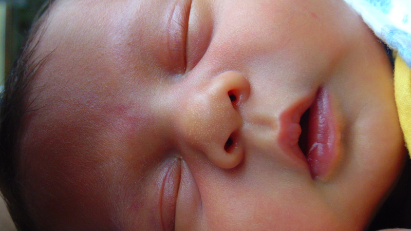 human, childhood, cute, happy, innocence, eyes, closeup, photo, real people, little, mouth, body part, eyes closed, sleeping, beauty, baby, rest, resting