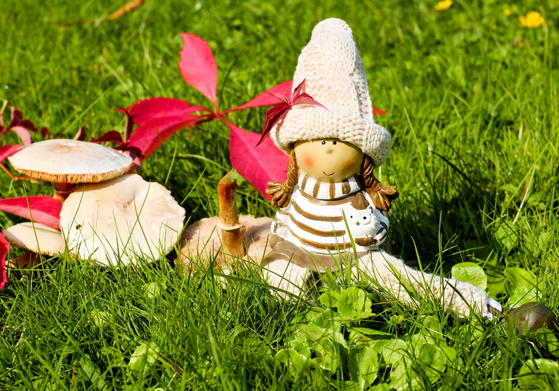 rest, dress, doll figure, sweet, creativity, hat, field, toy, art and craft, red, figure, plant, day, mushrooms, grass, figurine, nature, girl, white, land