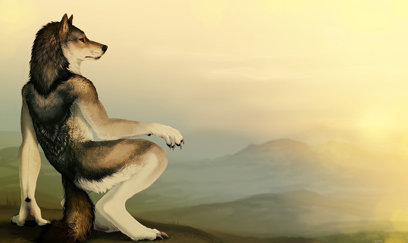 x, fandom, hd, furry, 720P, furry fandom, anime, hot, art