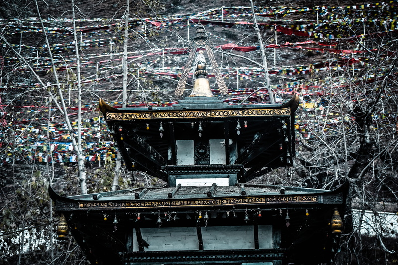 muktinath temple, nature, place of worship, temple, tree, building, spirituality, plant, angle, shrine, exposition, 5K, nepal, built structure, belief