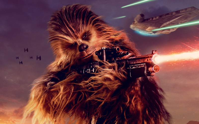 domestic animals, Story, headshot, hairstyle, nature, vertebrate, fear, 4K, Wars, human hair, dog, animal wildlife, Chewie, animal body part, sky, Solo