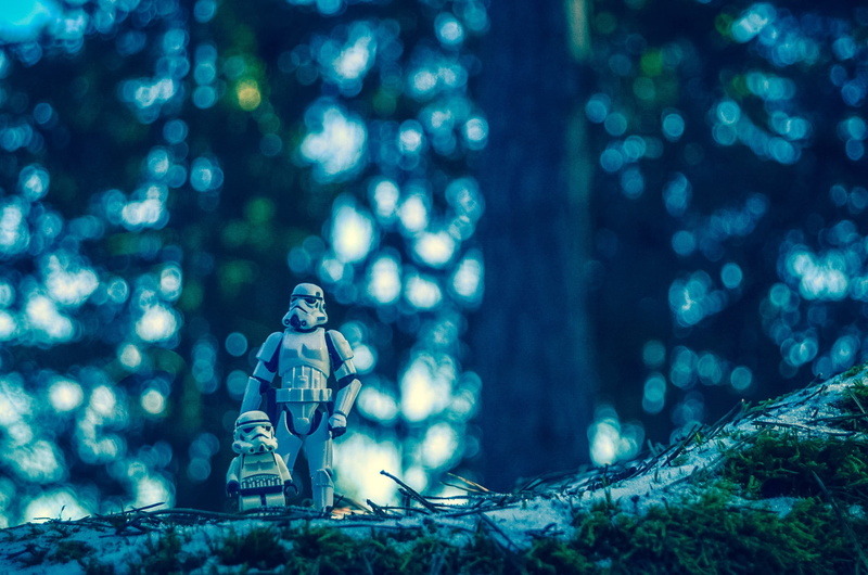 art and craft, figure, lego, forest, action, 1080P, people, spooky, male likeness, land, tree, wood - material, horror, focus on foreground, Storm Trooper
