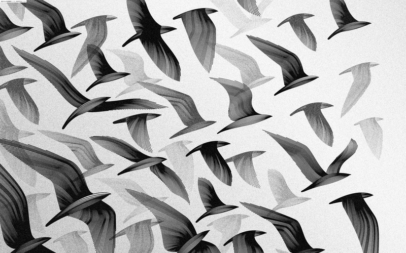 flying, birds, design, monochrome, outdoors, shape, large group of animals, day, no people, nature, full frame, 1080P, black, plant part, textile, pattern
