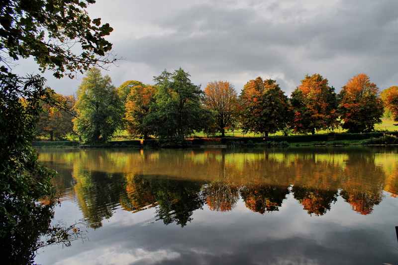water, plant, tranquil scene, reflection lake, idyllic, tranquility, outdoors, change, nature, day, cloud - sky, waterfront, no people, river, landscape