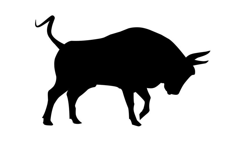 fighter, side view, bullhead, animal wildlife, bull - animal, spanishbull, bullfighter, creature, herbivorous, studio shot, bulllogo, dangerous, livestock
