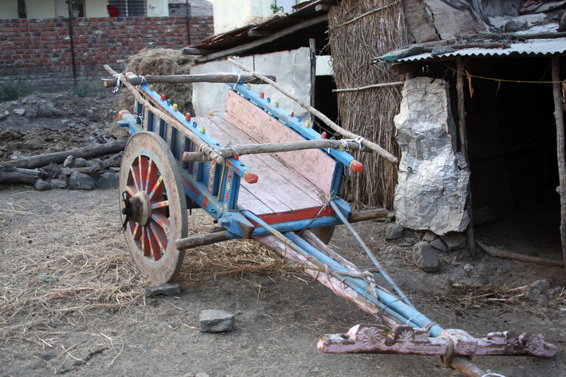 one animal, architecture, field, domestic, day, rural, wheel, ox cart, agriculture, traditional, no people, animal themes, pune, india, village, wood - material