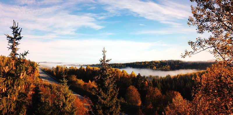 beauty in nature, day, 4K, light, blue, tranquility, plant, backdrop, no people, change, tranquil scene, autumn, tree, season, scene, weather, water, lake