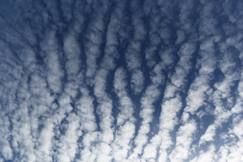 white, blue, meteorology, backgrounds, atmosphere, cumulus Cloud, no people, space, full frame, day, outdoors, scenics - nature, cloud - Sky, light, sky