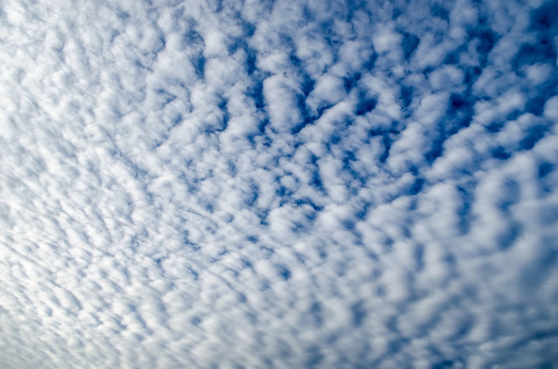 1080P, cloudscape, day, climate, cloudy, high, winter, bright, tranquility, sky, white color, beautiful, environment, heavenly, fluffy, nature, outdoors