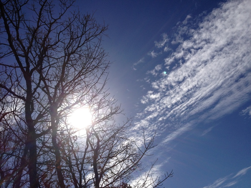 nature, meteorology, space, view, no people, light, day, color, sunny, 2K, clear, summer, plant, fluffy, cloudscape, weather, heaven, spring, climate