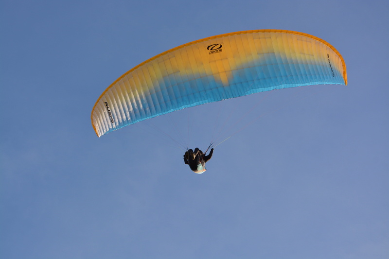mid-air, paragliding-paraglider, extreme sports, freedom, sailing view from below, animal wing, transportation, wing ozone rush 5, hobbies, adventure, one person