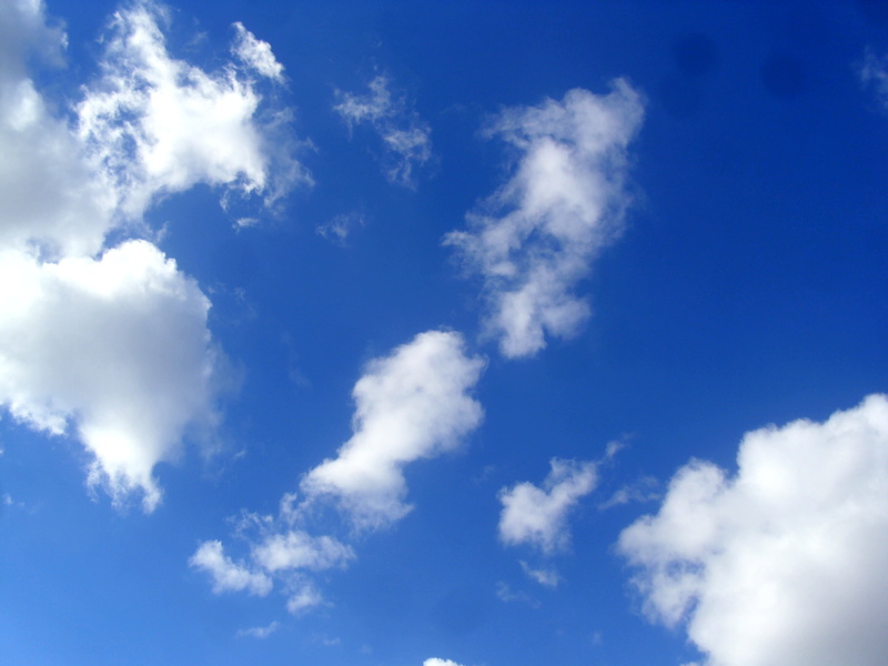 pattern, backdrop, softness, nature, skyline, weather, clear, sky, sunlight, cloudscape, fluffy, high, cloudy, stratosphere, sunny, overcast