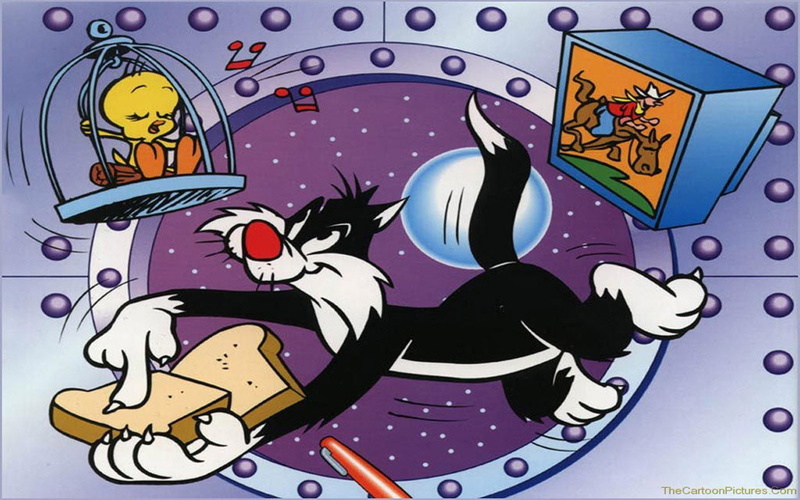 cartoons, sandwich, chicken, sylvester, tweety, tunes, looney, 1080P, hd, bird, cat