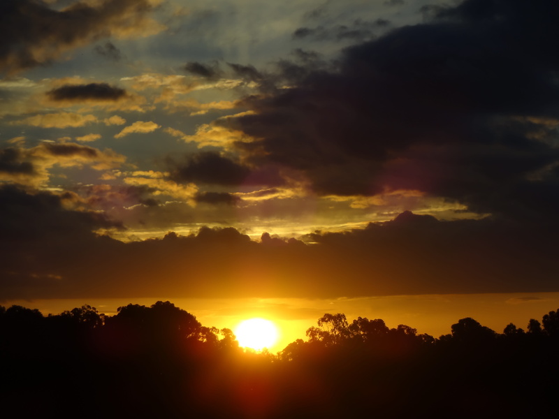 sky, sunbeam, gold, sunset, dramatic sky, bright, 4K, tree, end of the day, nature, no people, hope, natural, silhouette, orange color, outdoors, idyllic