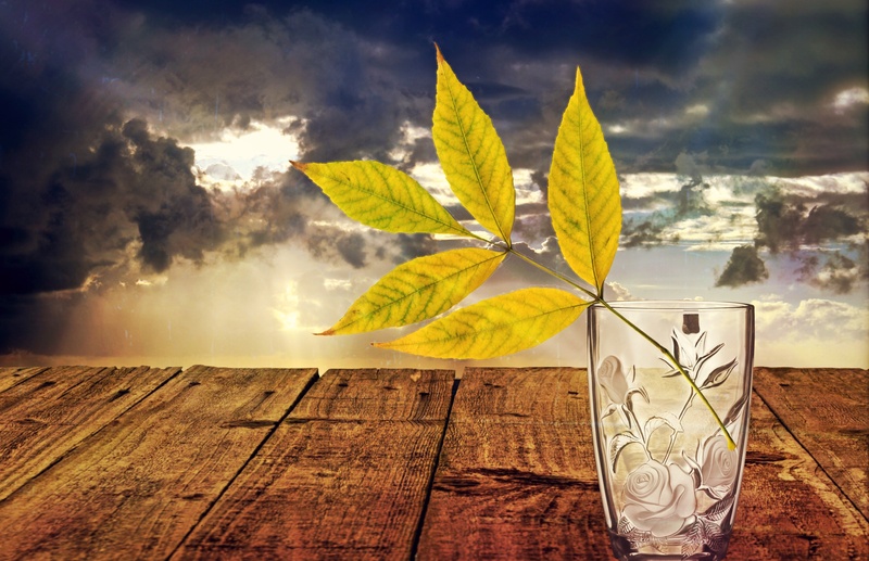 scenics - nature, deco, ray of hope, creativity, sunset, art and craft, drinking glass, decoration, beauty in nature, dream, green, still life, vase, clear