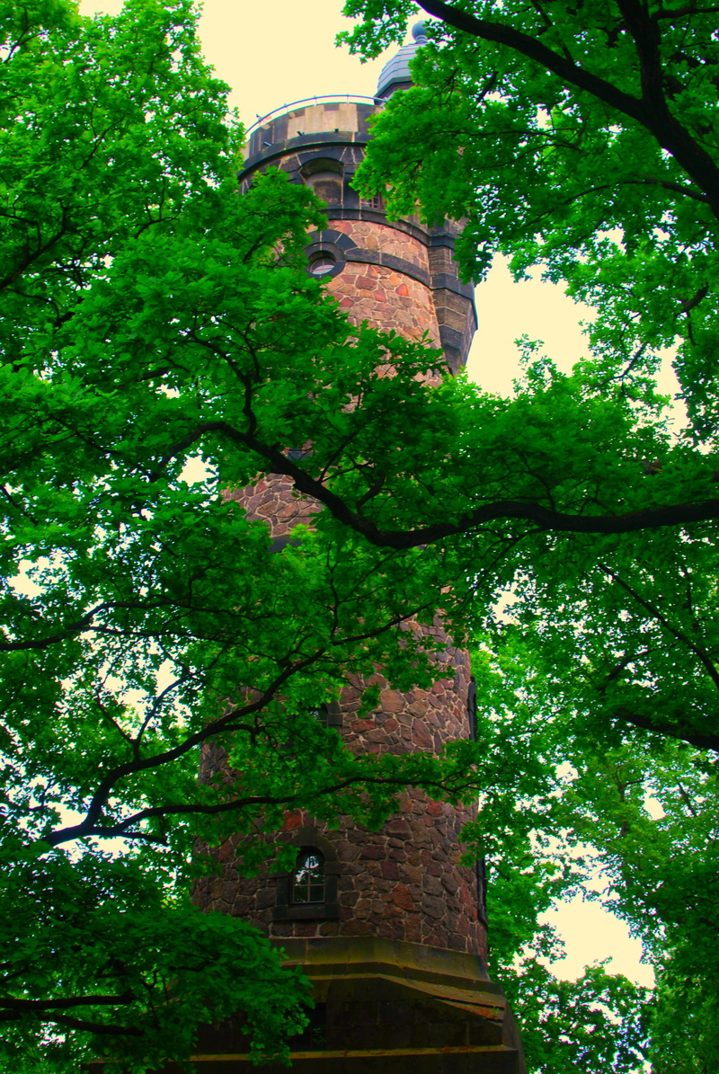 bricks, green color, growth, travel destinations, tower, foliage, portrait display, history, tree, architecture, no people, sky, vertical, 2K, outdoors
