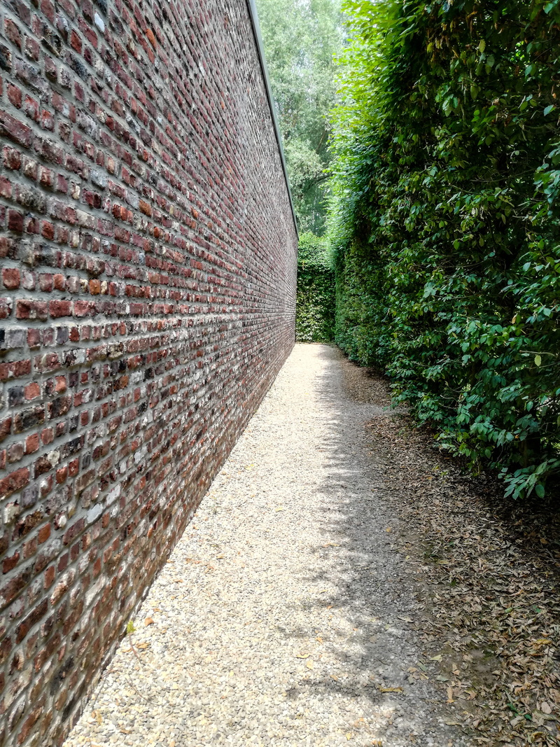 sunlight, Vanishing Point, no people, plant, green color, footpath, brick, day, wall - building feature, shadow, away, lines, nature, the way forward, Hedge