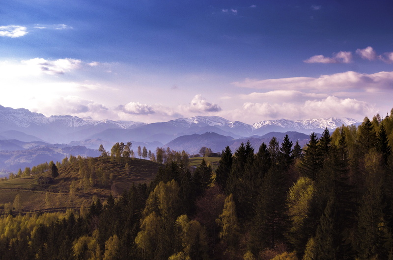 bucegi, mountain peak, pine woodland, tourism, outdoors, landscape, 4K, romania, cloud - sky, environment, snowcapped mountain, carpathians, pestera, idyllic