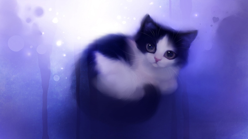 domestic Cat, kitten, portrait, illuminated, looking, pets, blue, no people, animal themes, yellow, fur, beautiful, a ball, whisker, apofiss