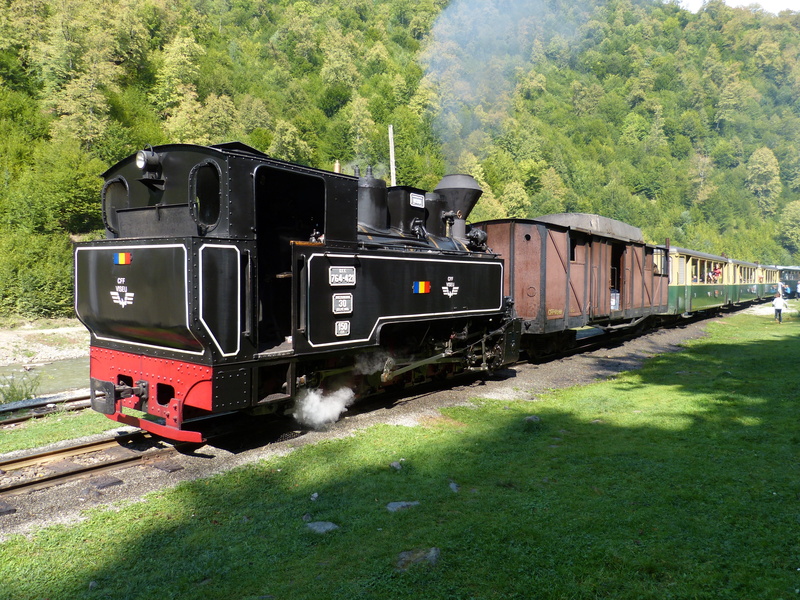 transport, day, track, mode of transportation, historically, green color, plant, land, passenger train, shunting yard, steam, no people, land vehicle, railroad track