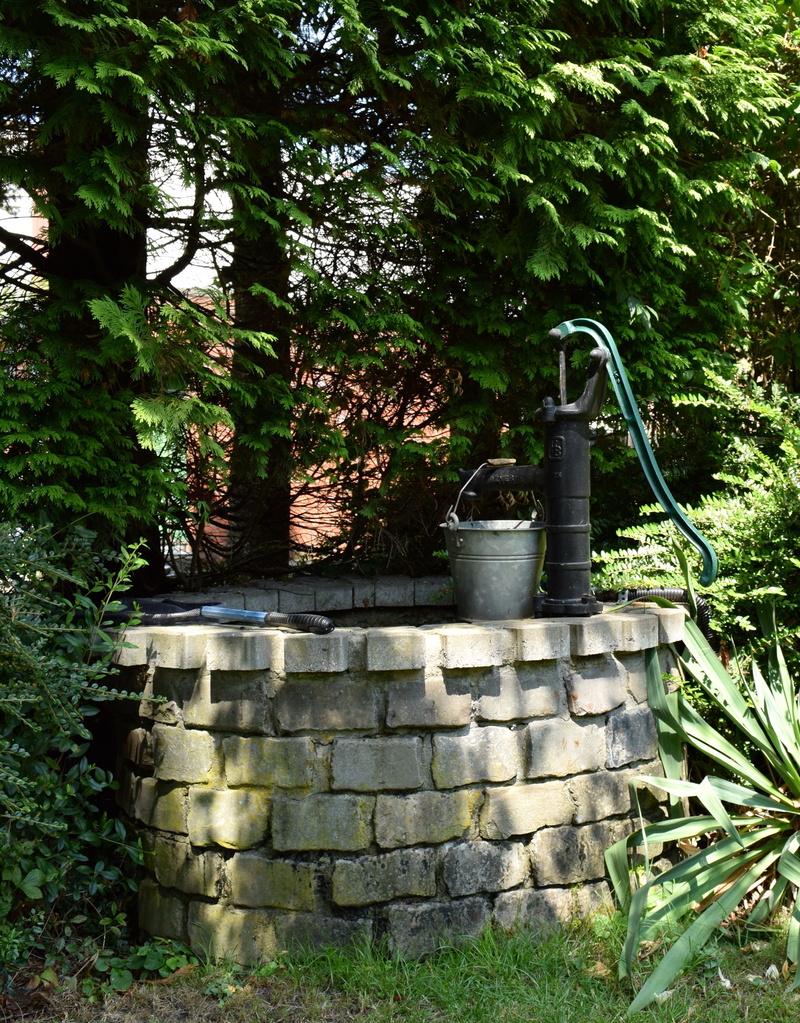 tree trunk, flow, outdoors, stone wall, nature, wall, tree, pump, hand pump, plant, forest, wall - building feature, metal, garden irrigation, 4K, front or back yard