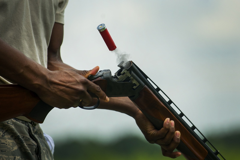the gun, shotgun, brown, weapons, black, recharge, 2K