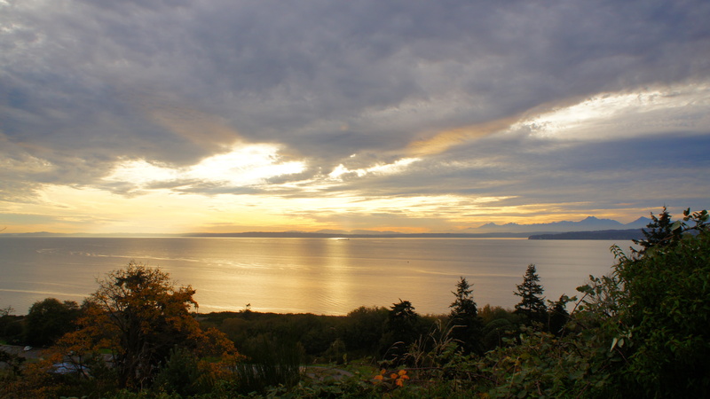 water, reflection, sea, landscape, beach, orange color, plant, non-urban scene, no people, tranquility, 4K, idyllic, scenics - nature, Washington state
