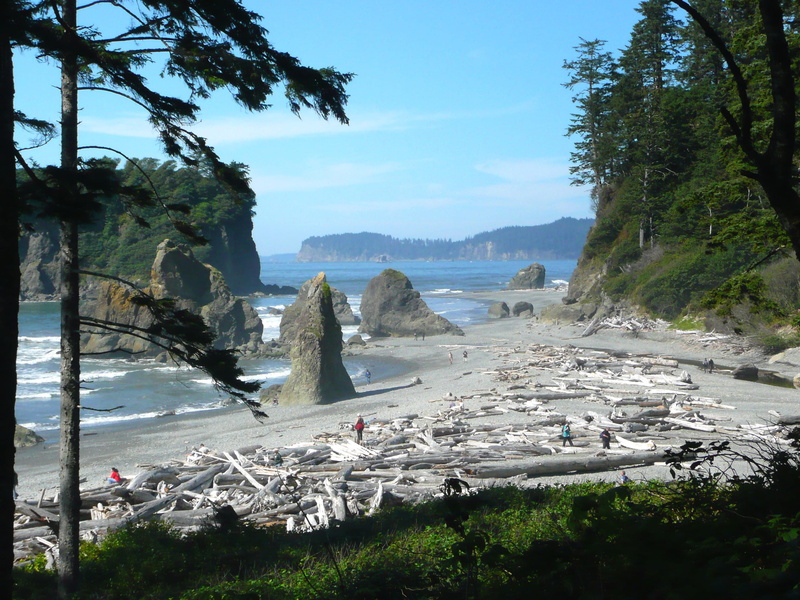 mountain, growth, ruby, buttes, beauty in nature, plant, olympic national park, travel, tranquil scene, Beach, Washington, pacific, Ruby, 2K, day, sky