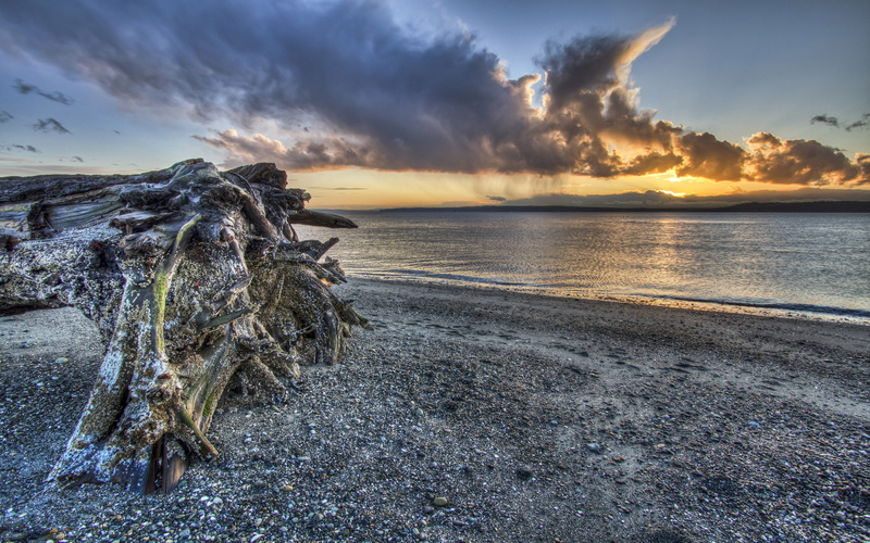 sunset, wood, lying, 2K, washington, sandy, dried, edmonds, driftwood, beach