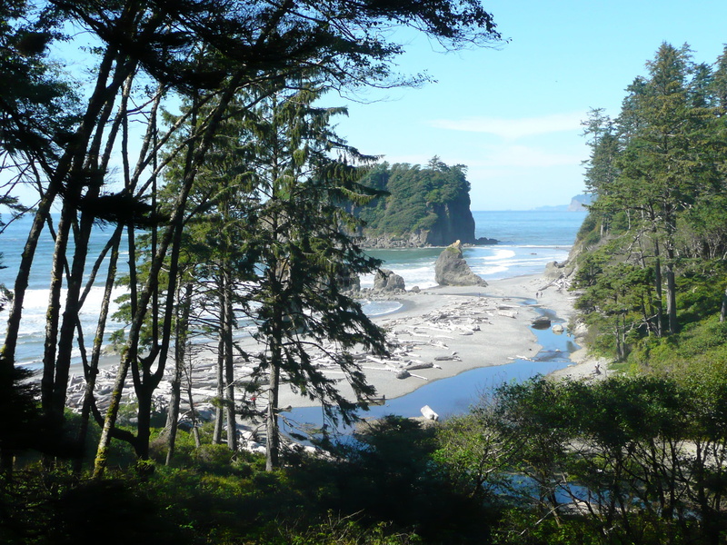 beach, non-urban scene, landscape, rock, no people, rock formation, outdoors, sea, pacific, plant, scenery, olympic national park, washington, shoreline