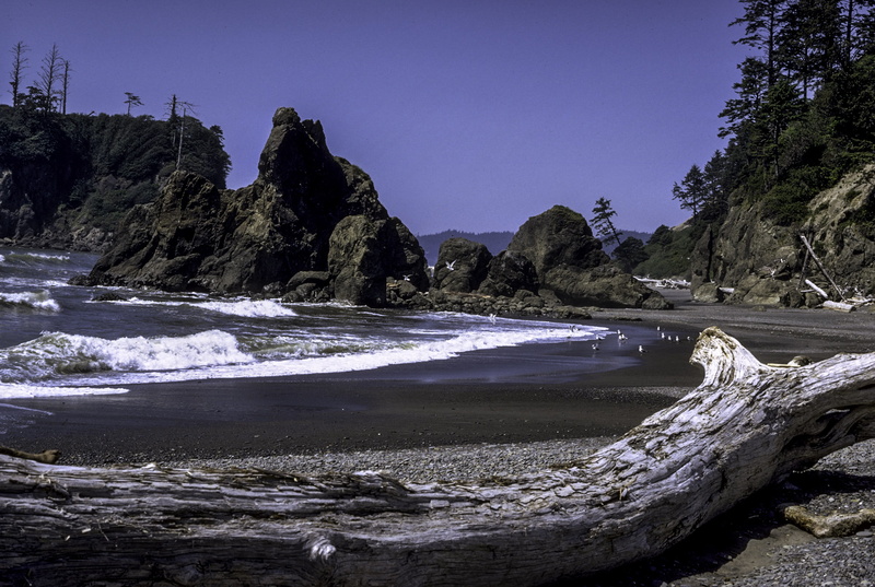 sand, day, national, water, photo, sky, no People, rock, tree, motion, clear sky, public domain, rock - Object, coastline, tranquility, wave, scenic, scenics - nature
