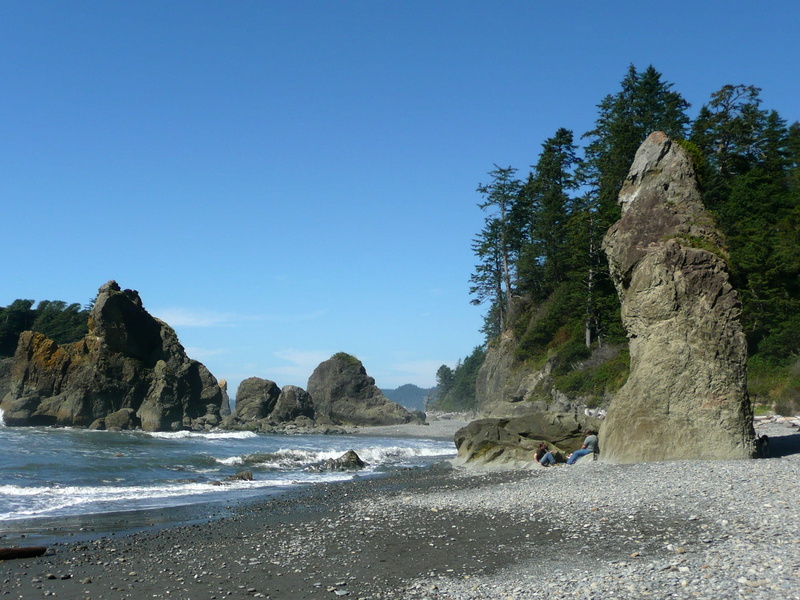 beauty in nature, olympic national park, landscapes, shoreline, rock - Object, rock, Ruby Beach, no People, Beach, plant, washington, sand, landscape, color Image