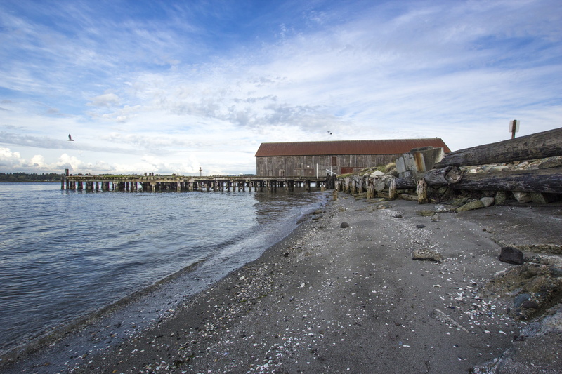 scenics - nature, architecture, washington, dirt road, building, road, built structure, beach, seashore, animal, blaine beach, pier, seagull, blue, rubble