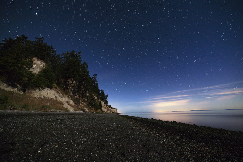 idyllic, beach, star - space, star trails, trees, landscape, galaxy, space and astronomy, stars, tranquility, long exposure, port williams, beauty in nature