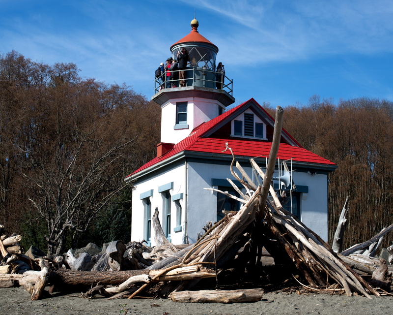 tower, 8K, seascape, driftwood, nature, land, tree, structure, outdoors, lighthouse, maury island, island, residential district, sunlight, day, nautical