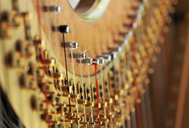 harp, 4K, wood - material, cellar, music, photo, orchestral, arts culture and entertainment, instrument, pedal, string, winemaking, head, frequency, curve