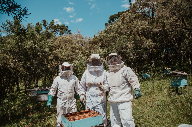 apiary, wear, honeybees, standing, landscape, beeswax, day, bees, honeycomb, daylight, outdoors, three, white, sky, lifestyles, clothing, tree, trees, group of people