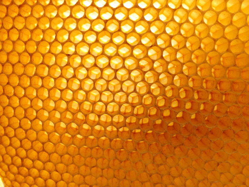 illuminated, abstract backgrounds, repetition, 4K, photo, outdoors, close up, geometric shape, yellow, brightly lit, wire, abstract, close, textured, hexagon
