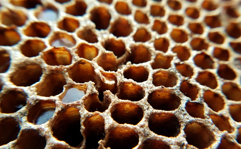 natural, honey, pattern, apiculture, insect, no people, bee, selective focus, natural pattern, design, full frame, animal wildlife, bees, beehive, brown