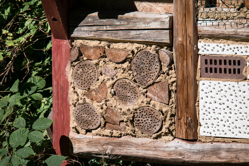 perforated, no people, art and craft, animal, apiculture, window, wall, bee, beehive, outdoors, bee hotel, sunlight, plant, insect house, nature, built structure