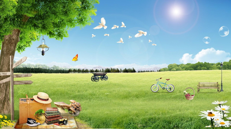 birds, butterflie, bike, beach, waiting, illustration, near, flowers, light, cruiser, 1080P, bicycle, tree, mushrooms, 3d and, wagon, field, teal, train