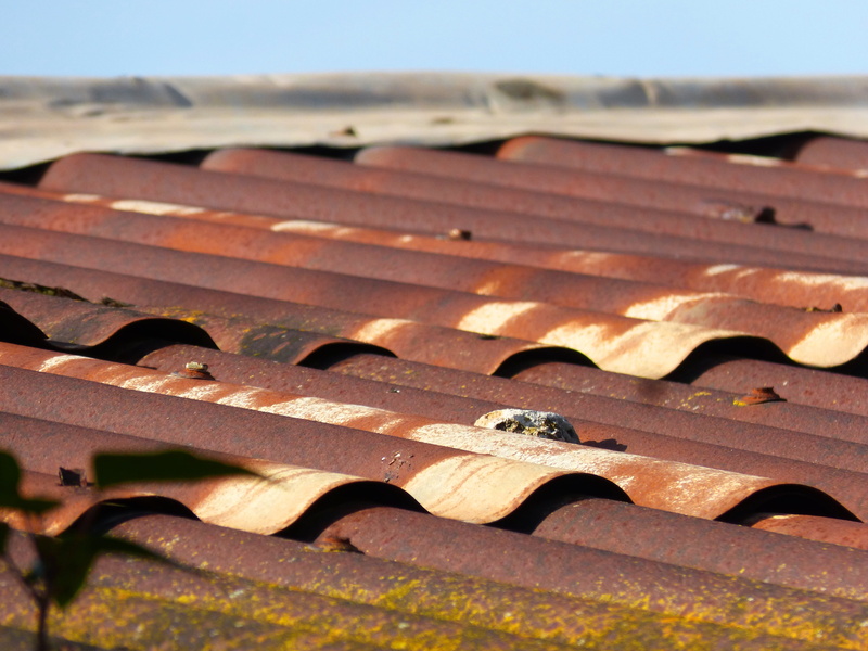 Roof, focus on foreground, architecture, no people, building exterior, sunlight, iron, built structure, rusty, brown, 4K, roof tile, tin roof, nature