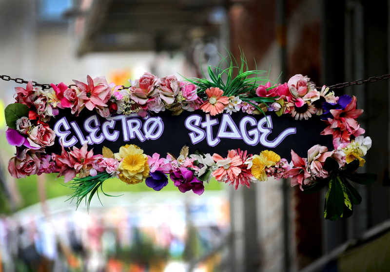 5K, sommerfest, group, flower, focus, concert, shield, pop, flowering plant, bunch of flowers, business, Techno, retail, focus on foreground, group of people