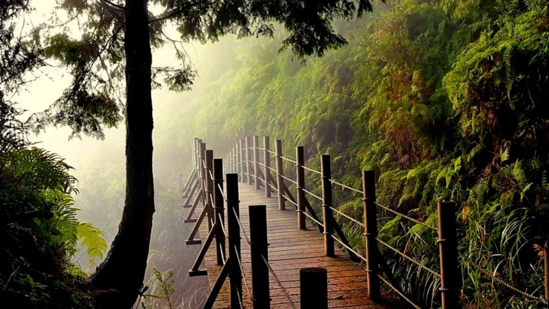 the way forward, park, footbridge, sky, landscape, support, tourism, direction, nature, outdoors, beauty in nature, fence, travel, device, plant, wood - material